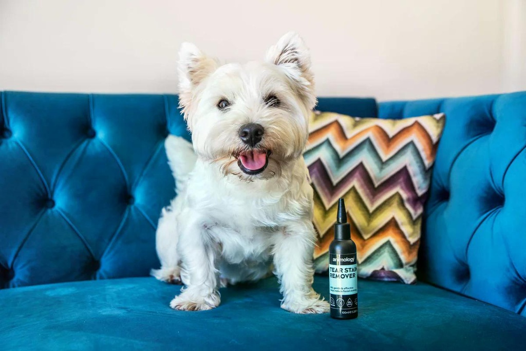 ANIMOLOGY TEAR STAIN REMOVER