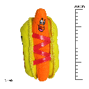 TUFFY FUNNY FOOD HOTDOG