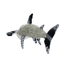 MIGHTY OCEAN HAMMERHEAD