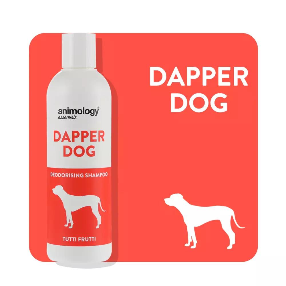 ANIMOLOGY ESSENTIALS DAPPER DOG TUTTI FRUTTI SHAMPOO PARA PERROS 250ML