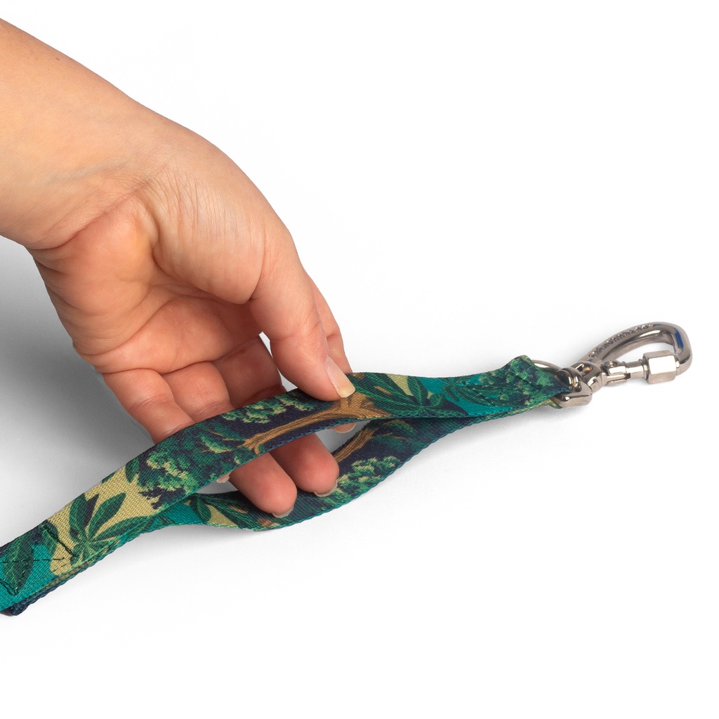 CACHORREIROS GUIA BABY CORREA CHICA SAMAUMA