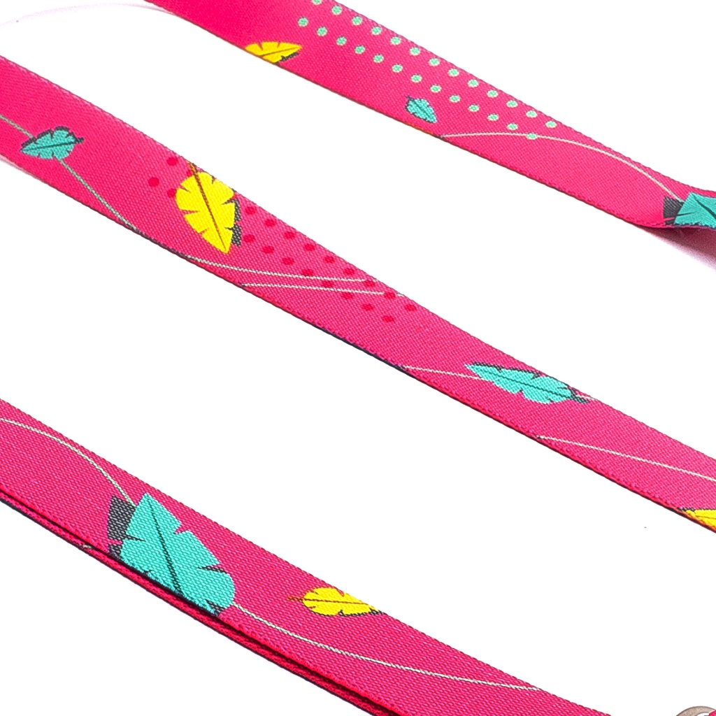 CACHORREIROS GUIA RUNNING CORREA RUNNING OLIVIA