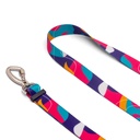 CACHORREIROS GUIA RUNNING CORREA RUNNING DOGE