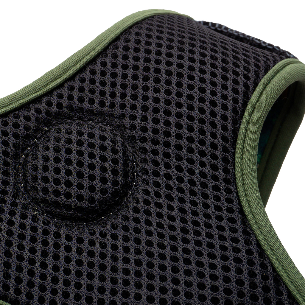 CACHORREIROS ARNES FLOW SAMAUMA TALLA PP - XS