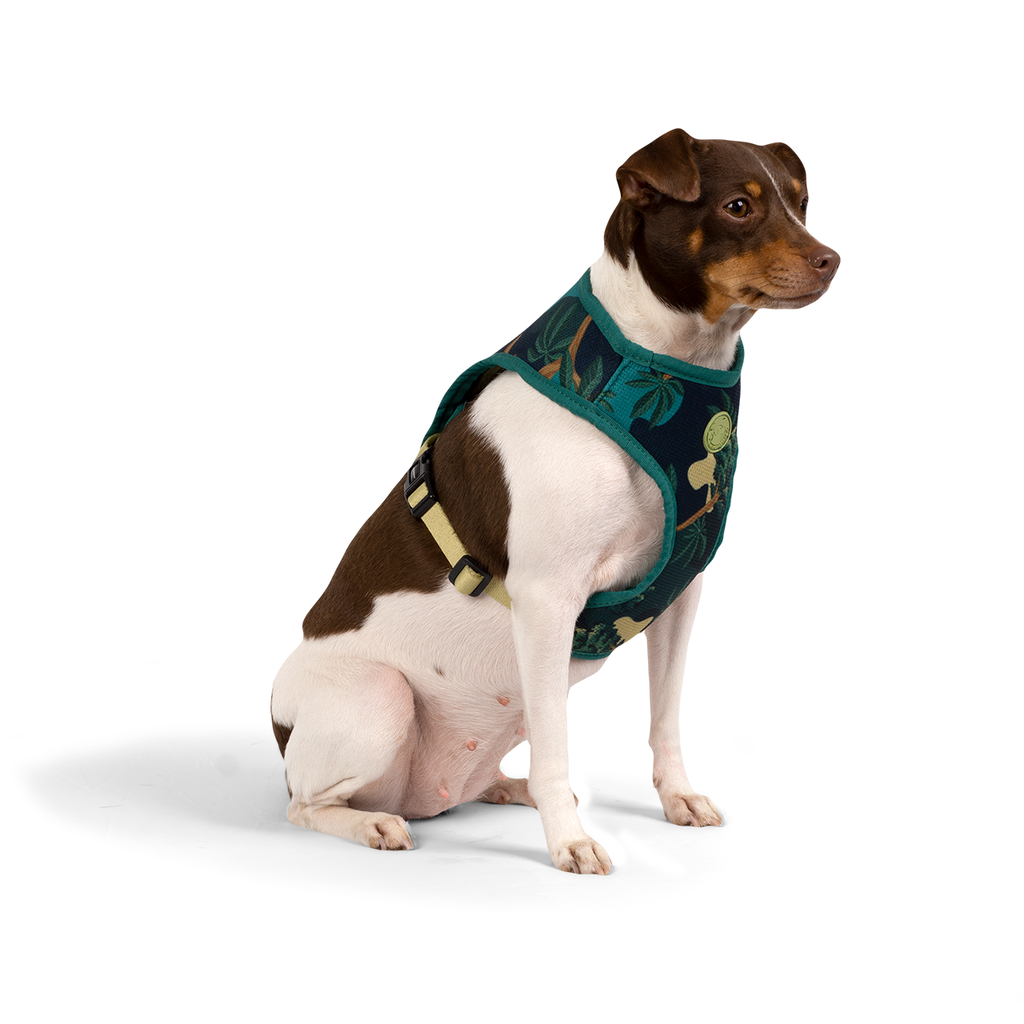 CACHORREIROS ARNES FLOW SAMAUMA TALLA GG - XL