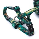 CACHORREIROS ARNES H SAMAUMA TALLA PP - XS