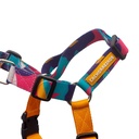 CACHORREIROS ARNES ANTITIRONES DOGE TALLA M