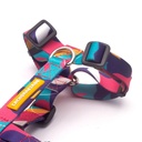 CACHORREIROS ARNES H DOGE TALLA P - S