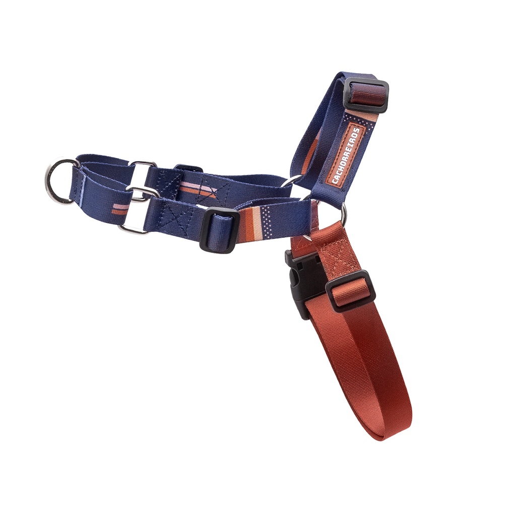 CACHORREIROS ARNES ANTITIRONES BOB E MARLEY TALLA M