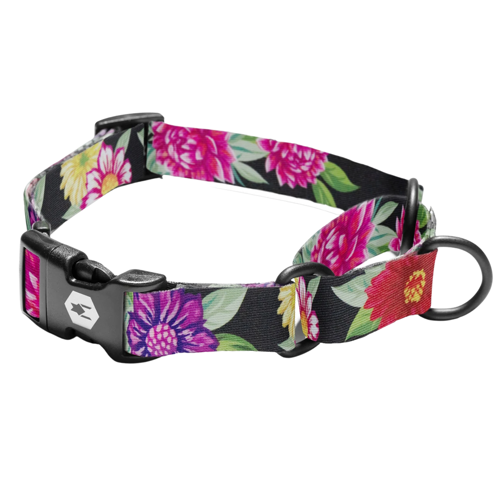 WOLFGANG COLLAR MARTINGALE DARKFLORAL S