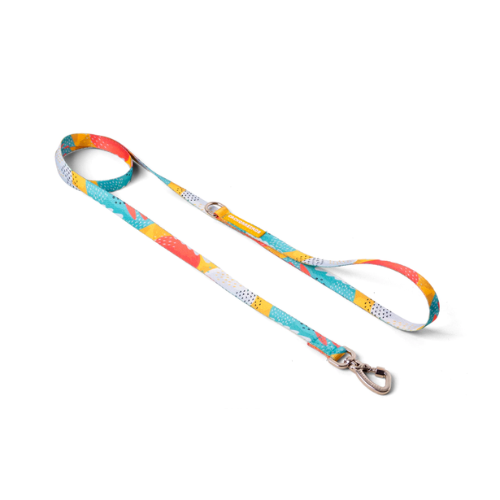 CACHORREIROS GUIA BABY CORREA CHICA PITAYA