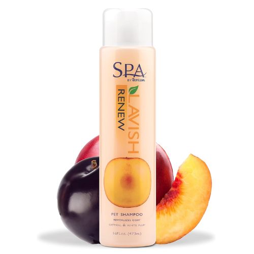 SPA RENEW SHAMPOO 473ML