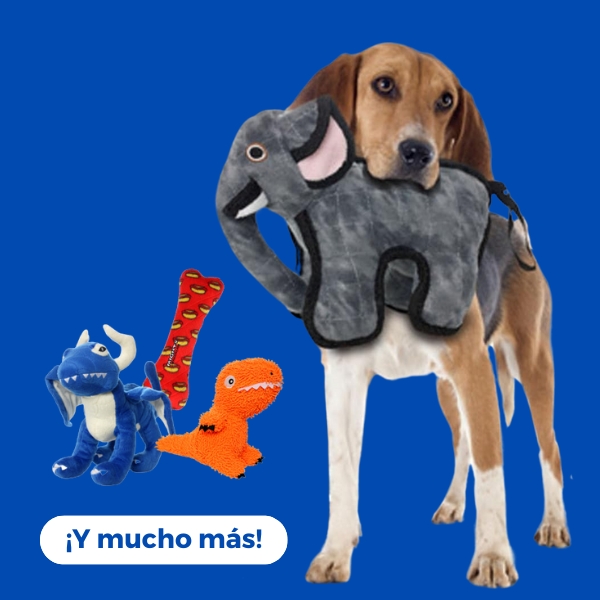 Perros / Juguetes