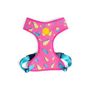 [CA-097] CACHORREIROS ARNES FLOW OLIVIA TALLA P - S