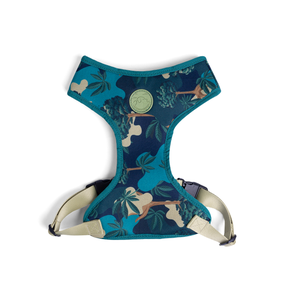 [CA-136] CACHORREIROS ARNES FLOW SAMAUMA TALLA M