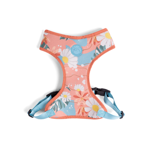 [CA-078] CACHORREIROS ARNES FLOW FLORAL TALLA P - S