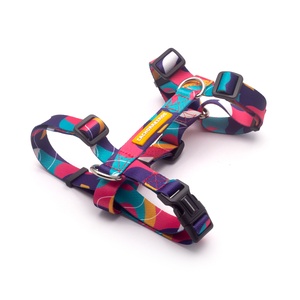 [CA-051] CACHORREIROS ARNES H DOGE TALLA PP - XS