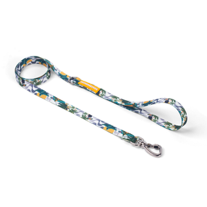 [CA-289] CACHORREIROS GUIA BABY CORREA CHICA RIO