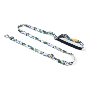 [CA-290] CACHORREIROS GUIA RUNNING CORREA RUNNING RIO