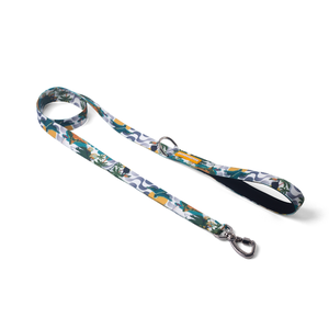 [CA-291] CACHORREIROS SUPER GUIA CORREA GRANDE RIO